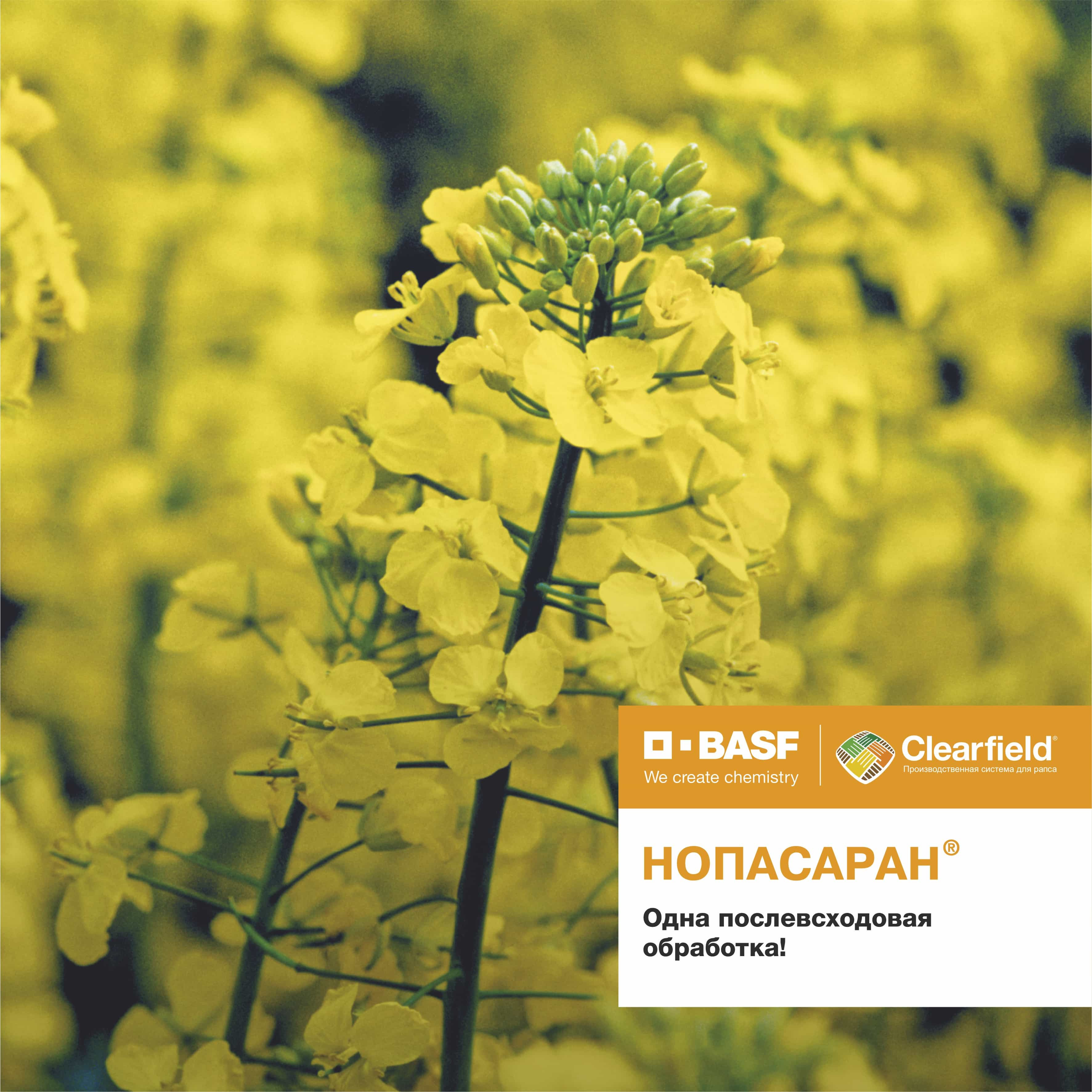 nopasaran-crop-protection