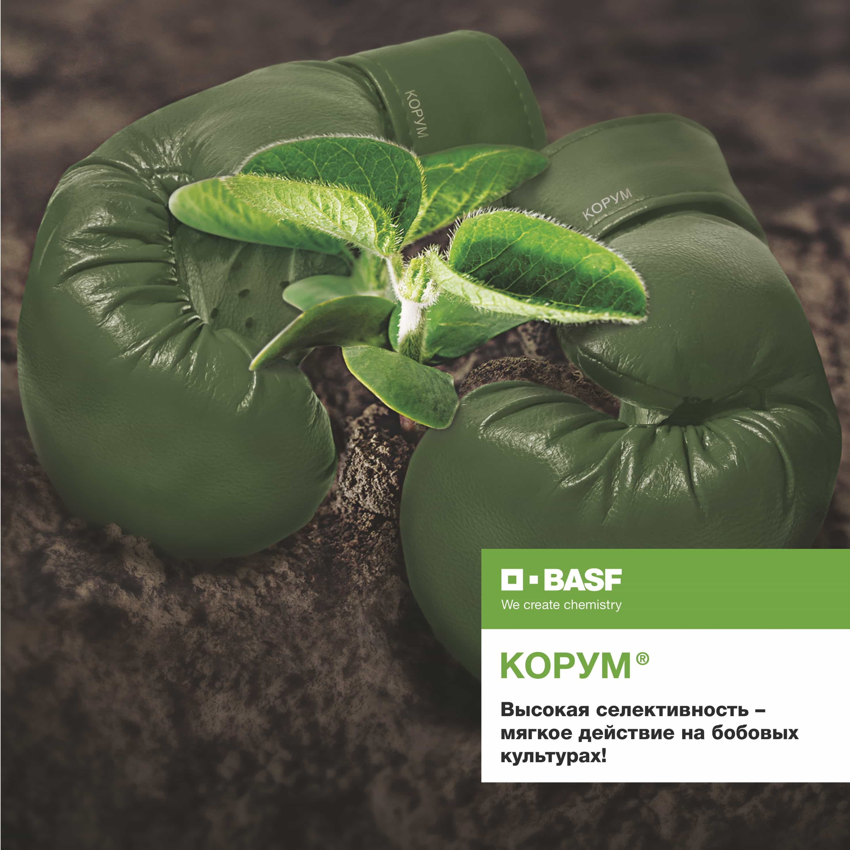 Corum-Crop Protection